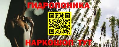 стафф Будённовск