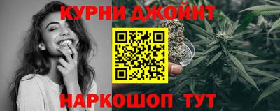 стафф Будённовск