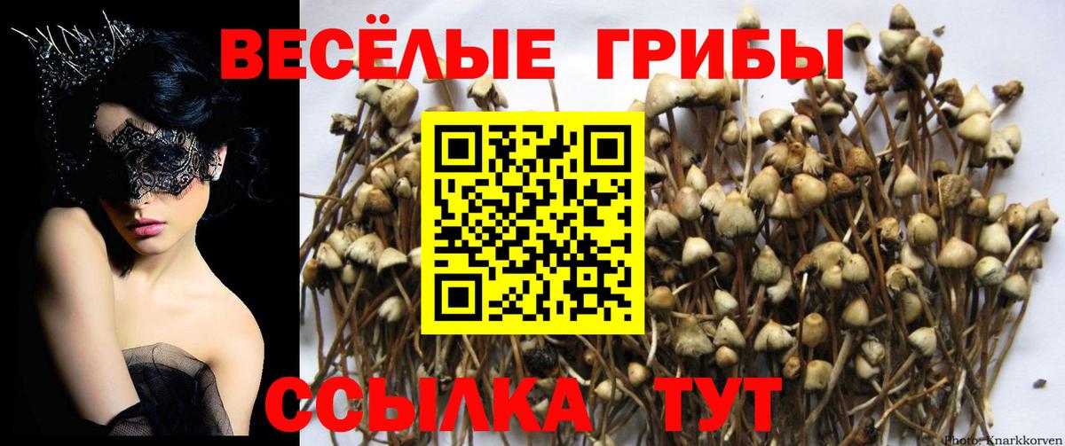 Салехард  Галлюциногенные грибы мицелий  Вход с VPN 